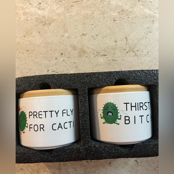 Other - Super Cute and Funny Succulent Planters